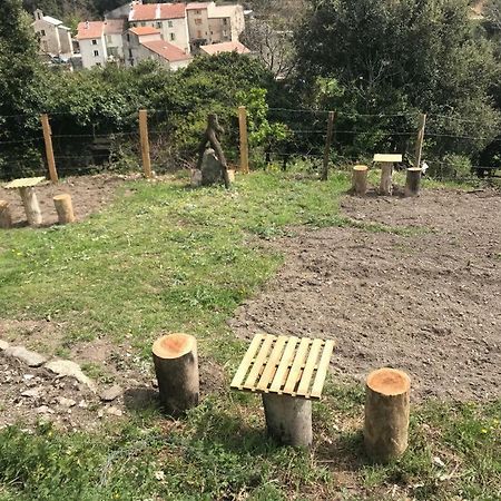 Camping L'Agrottu Au Coeur De La Corse Santa-Lucia-di-Mercurio Exterior photo