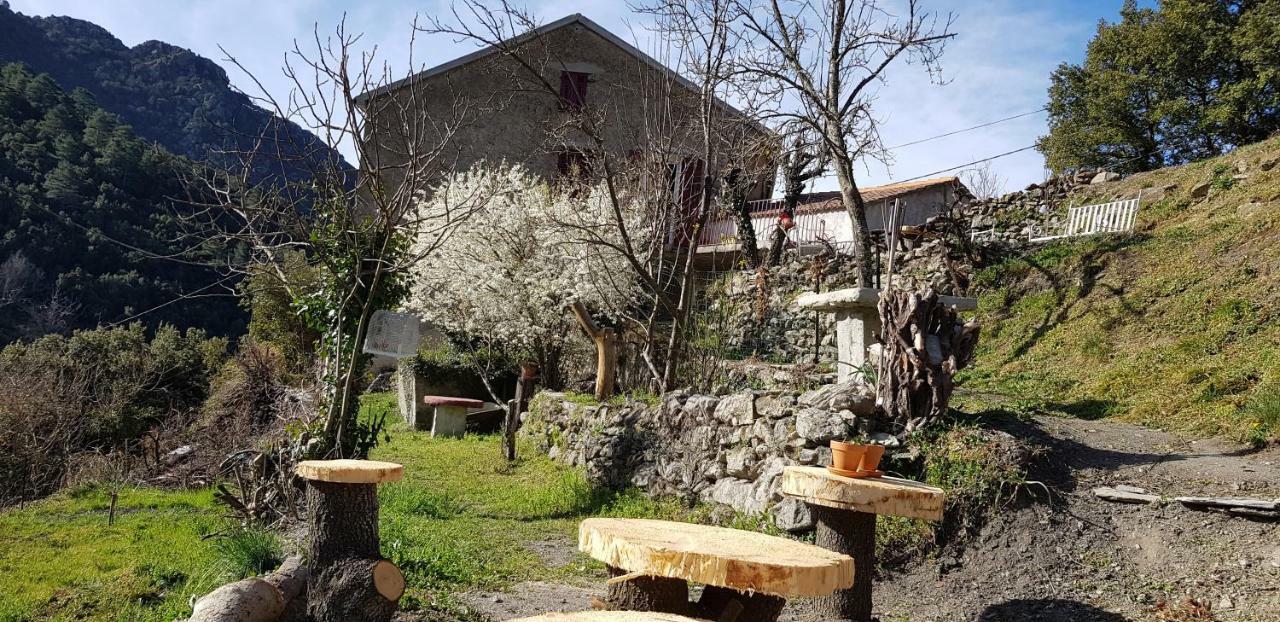 Camping L'Agrottu Au Coeur De La Corse Santa-Lucia-di-Mercurio Exterior photo