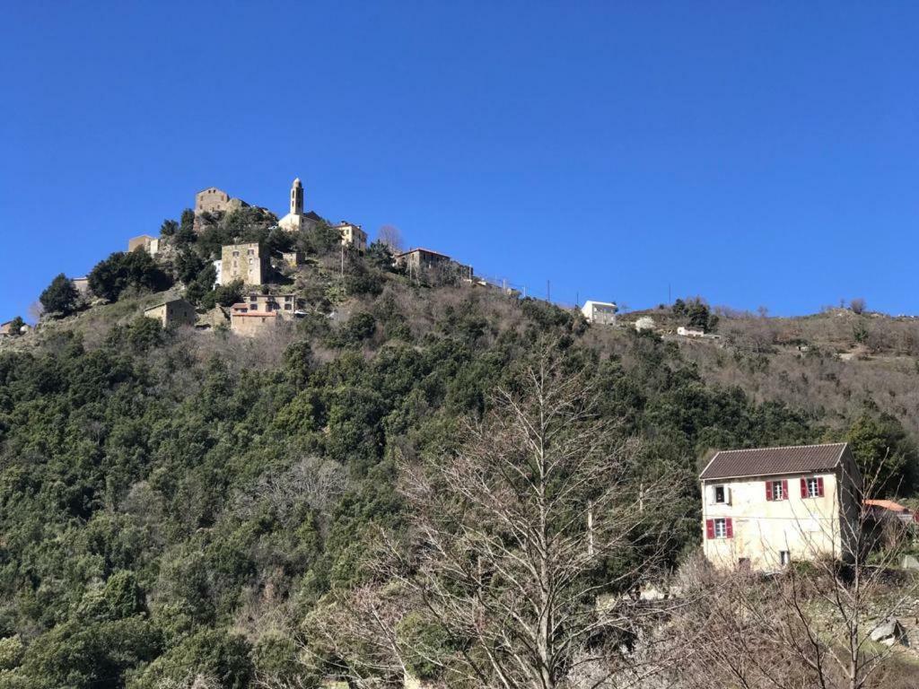 Camping L'Agrottu Au Coeur De La Corse Santa-Lucia-di-Mercurio Exterior photo