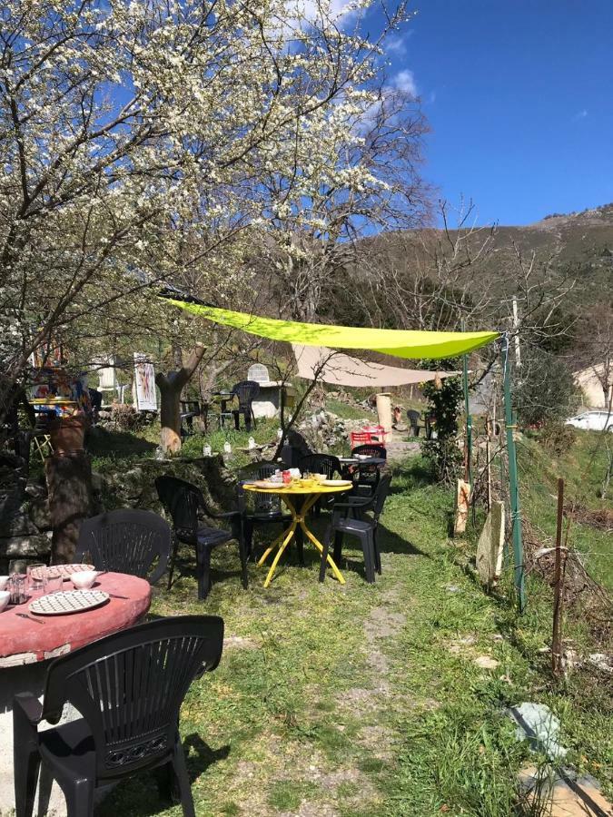 Camping L'Agrottu Au Coeur De La Corse Santa-Lucia-di-Mercurio Exterior photo
