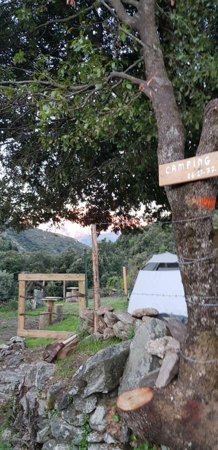 Camping L'Agrottu Au Coeur De La Corse Santa-Lucia-di-Mercurio Exterior photo