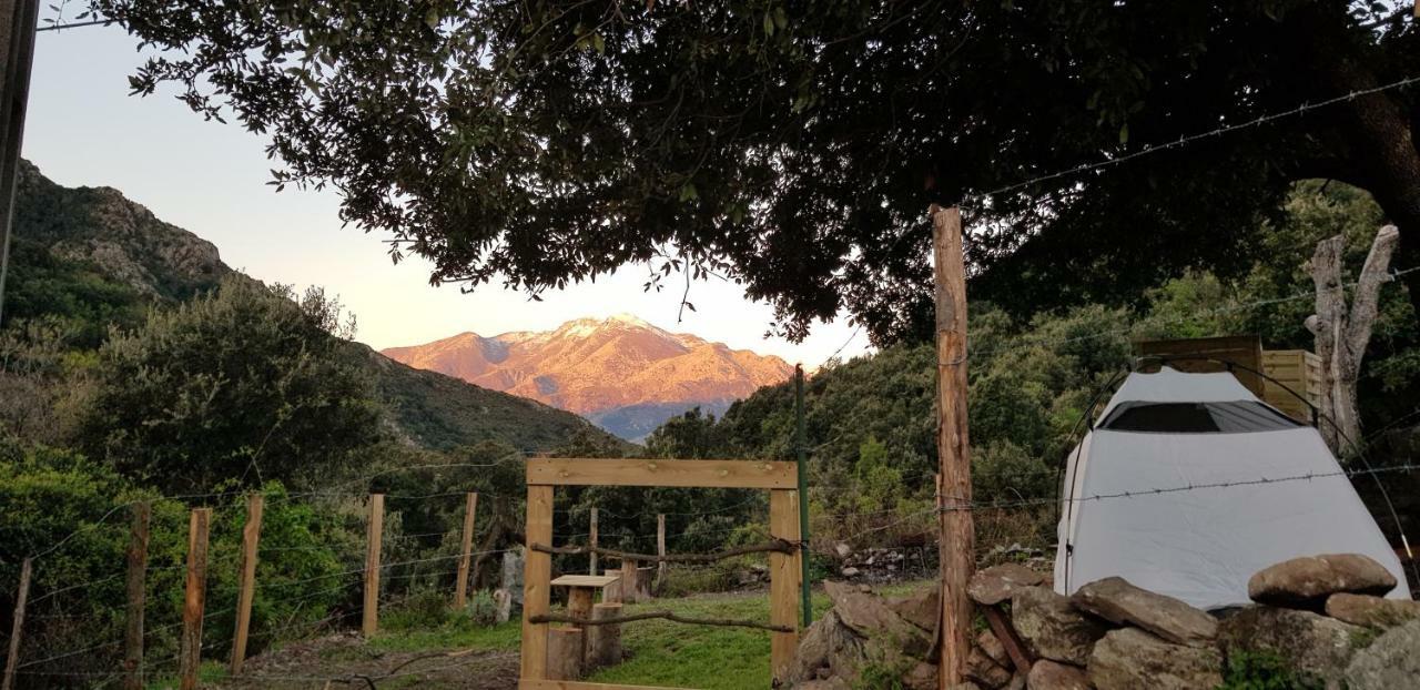 Camping L'Agrottu Au Coeur De La Corse Santa-Lucia-di-Mercurio Exterior photo