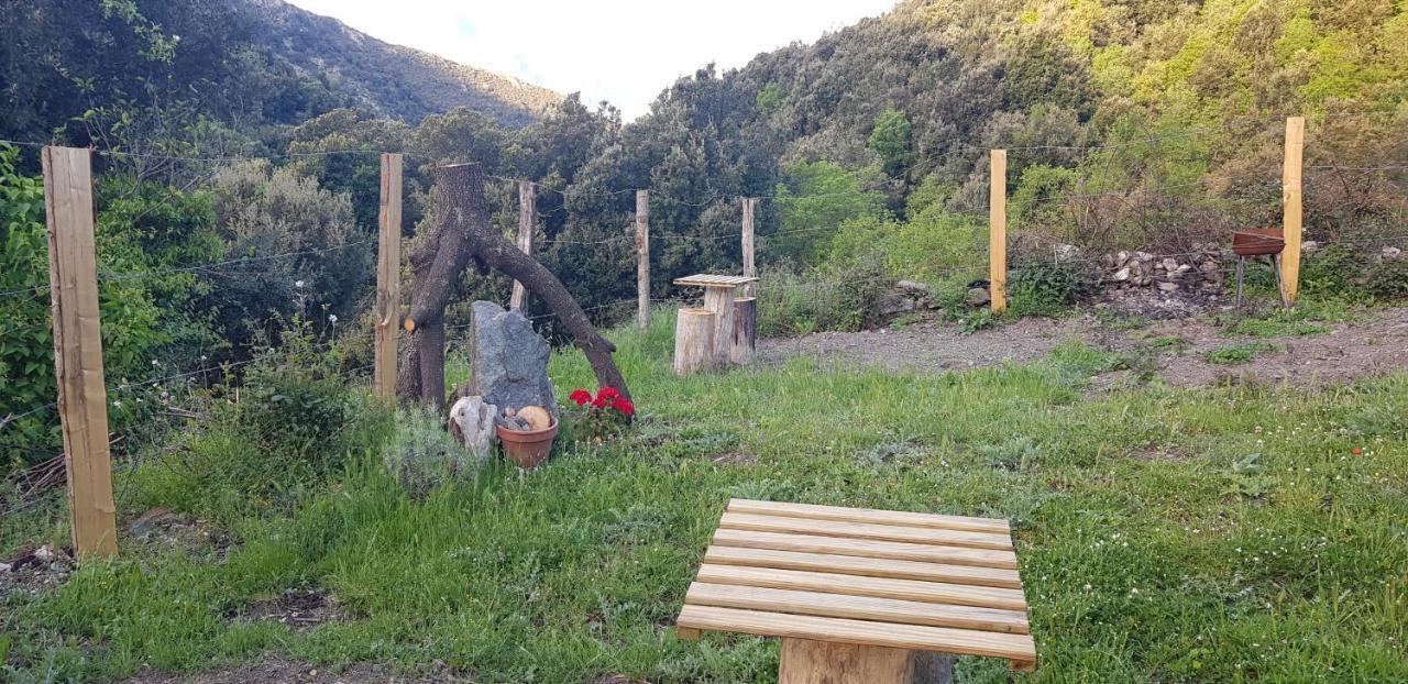 Camping L'Agrottu Au Coeur De La Corse Santa-Lucia-di-Mercurio Exterior photo